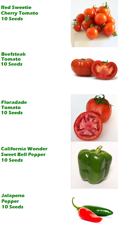 Vegetable_Pack_Page_3_-_380_9f72e463-4563-4863-806e-8a150ed57ff2.png?417341146844714570