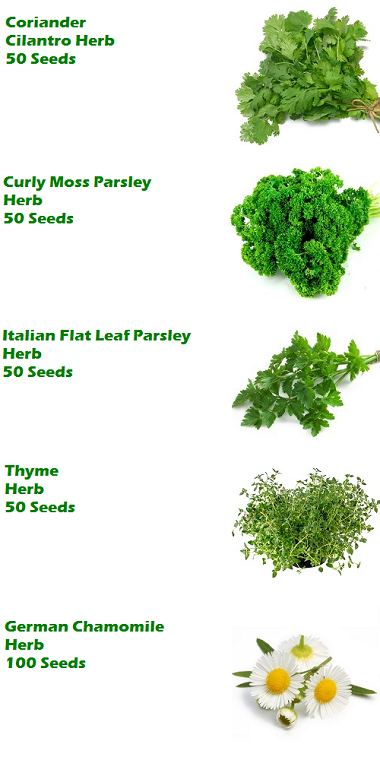 Vegetable_Pack_Page_5_-_380.png?4974