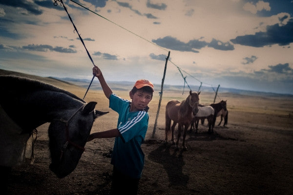 PhotTimothy Fadek, A young boy tends to horses in Mongolia