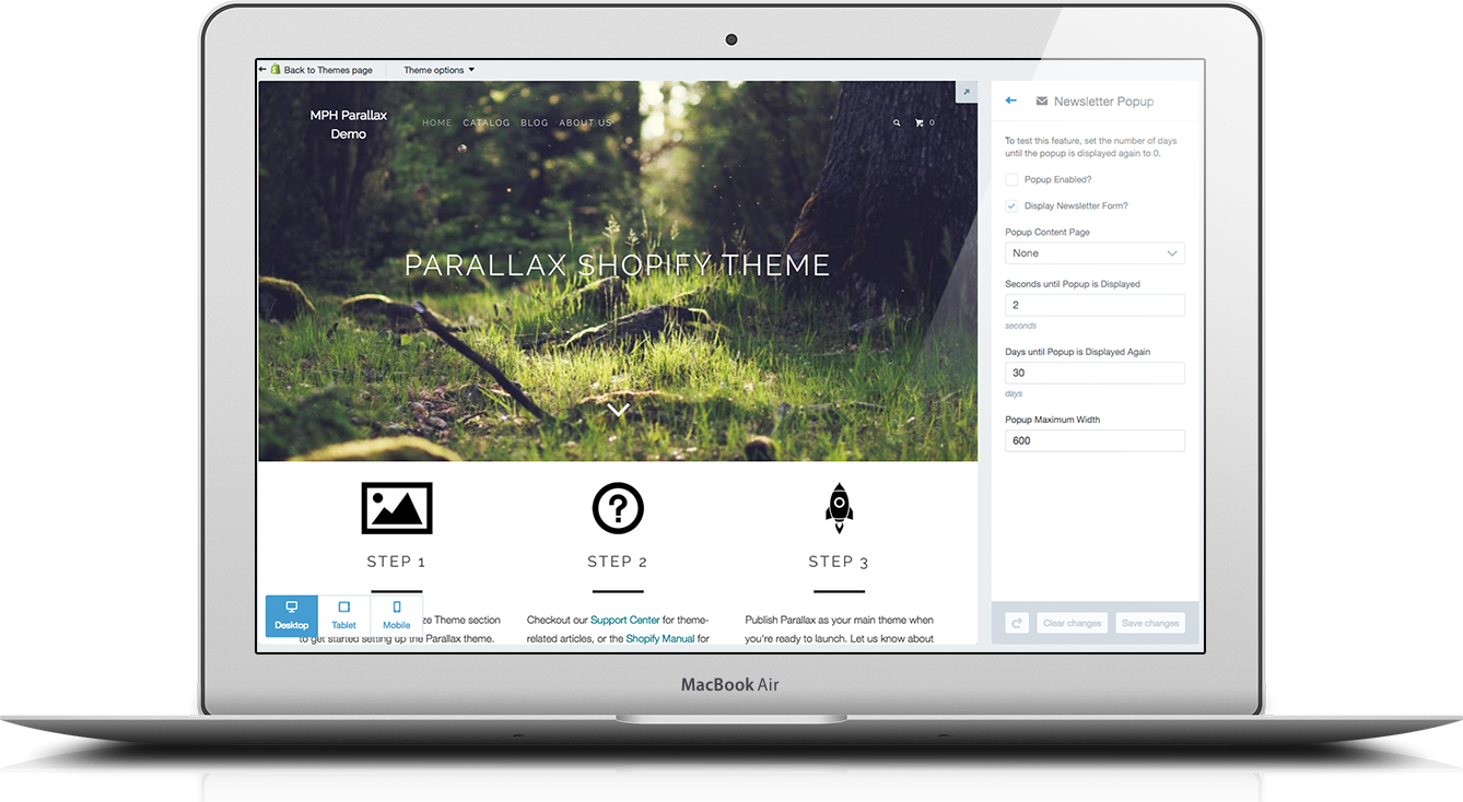 Shopify theme newsletter subscription form theme options