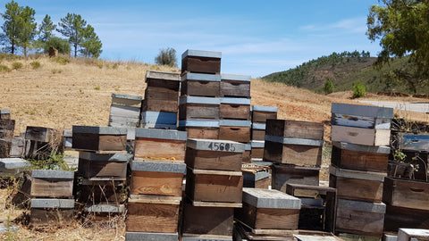 beehives algarve_portuguese raw honey
