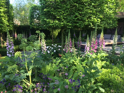 Favourite Chelsea Flower Show garden in 2016