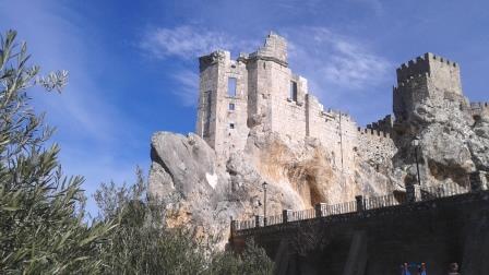 Olive Trees and Castle Zuheros Spain Telegraph Hill