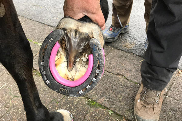 Hufeisen mit Grip in Pink