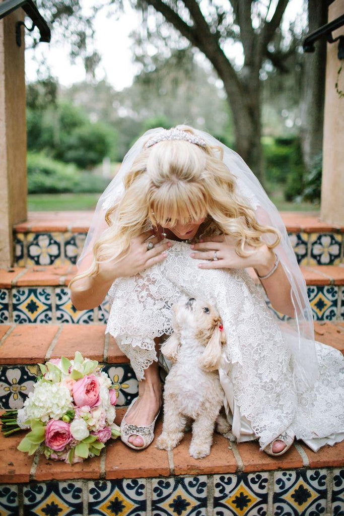 dogs in wedding