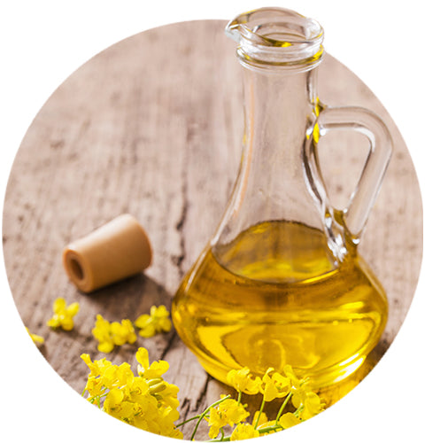 Non-GMO Expeller Pressed Canola Oil