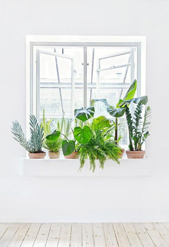 Pile on the plants for pantones greenery