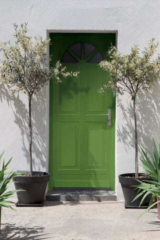 Add Pantones greenery to your front door