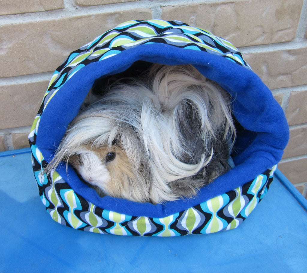 guinea pig cuddle cup