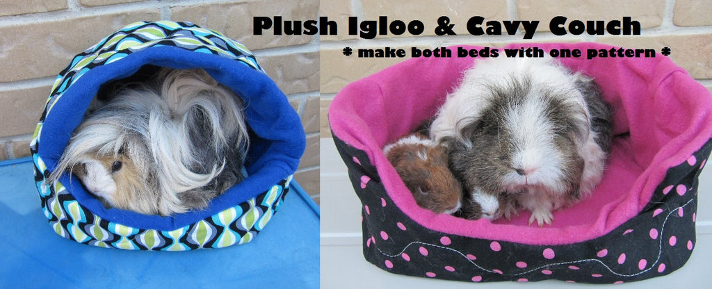 guinea pig igloo