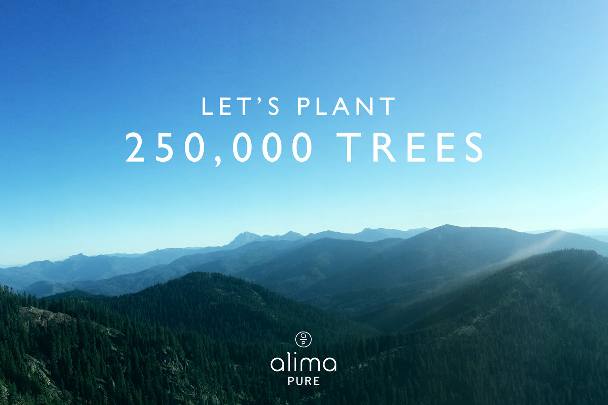 Alima Pure is committed to planting 250000 trees in 2020