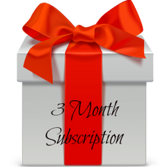 The Nail Stash - 3 Month Subscription $39