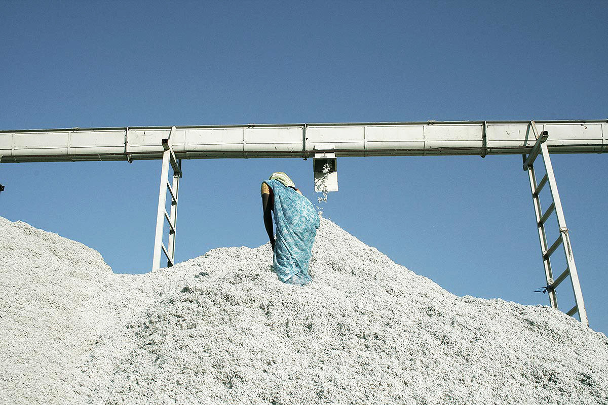 cotton production by Kowtow
