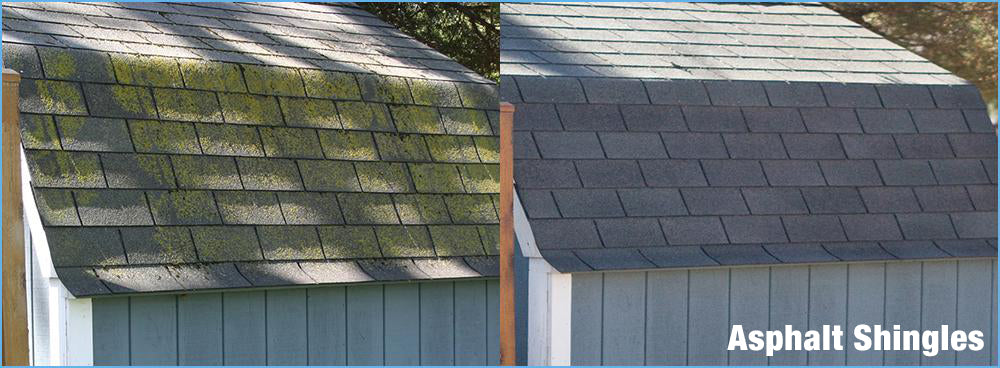 Asphalt Shingles Cleaned Up with rapid Application or Wet & Forget