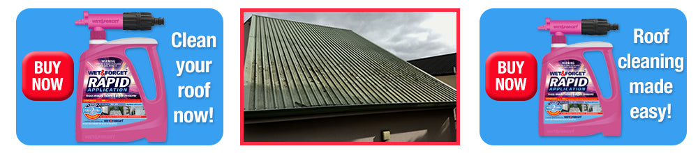 Buy Rapid Application Now To Clean Your Roof 
