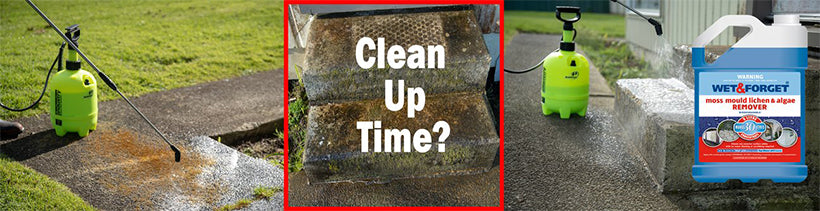 Clean up Smaller Concrete Areas with Wet & Forget