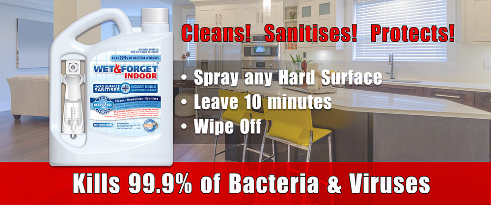 Indoor Sanitiser Kills Bacteria and Viruses Quickly