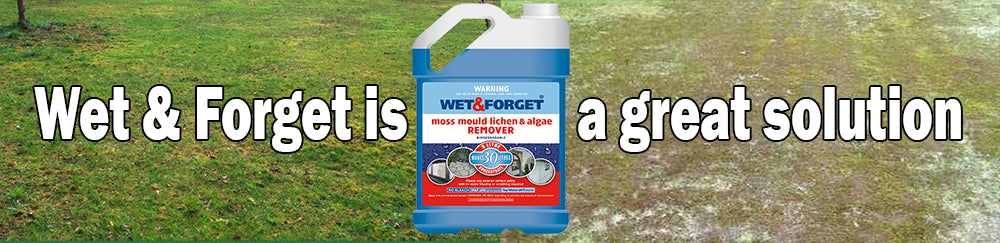 Wet and Forget helps moss in your lawn