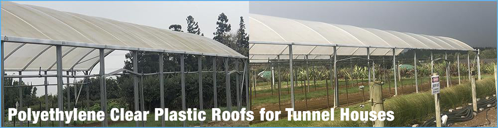 Polyethylene Clear Plastic Roofs for Tunnel Houses