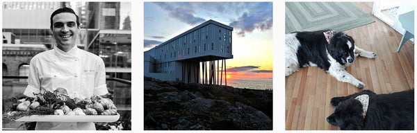 Fogo Island Inn Review