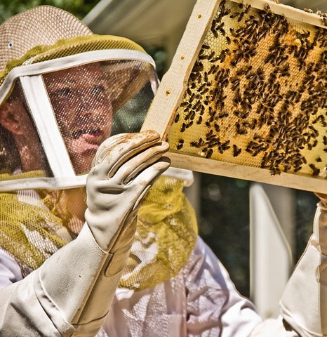 Oregon Master Bee Keeper Program - bambu scholarship