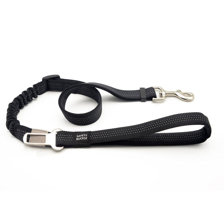 leash with seat belt latch