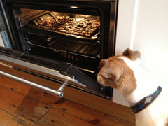 Taffy guards the oven