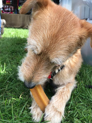Yak Snack Himalayan dog chew