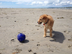 Reina loves her beach ball