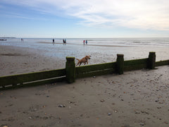 Reina flying over the groynes at West Wittering
