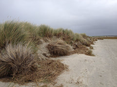 The Dunes at East Head on West Wittering beach