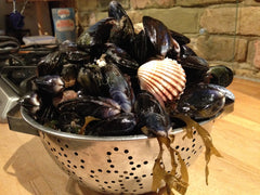 Mussles and clams foraged from West Wittering beach