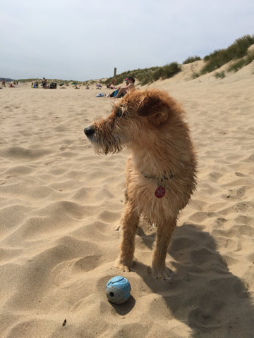 Reina at Camber Sands beach