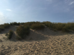 Sand dunes at Camber Sands