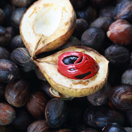 what is a nutmeg?
