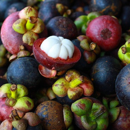 Mangosteen Powder