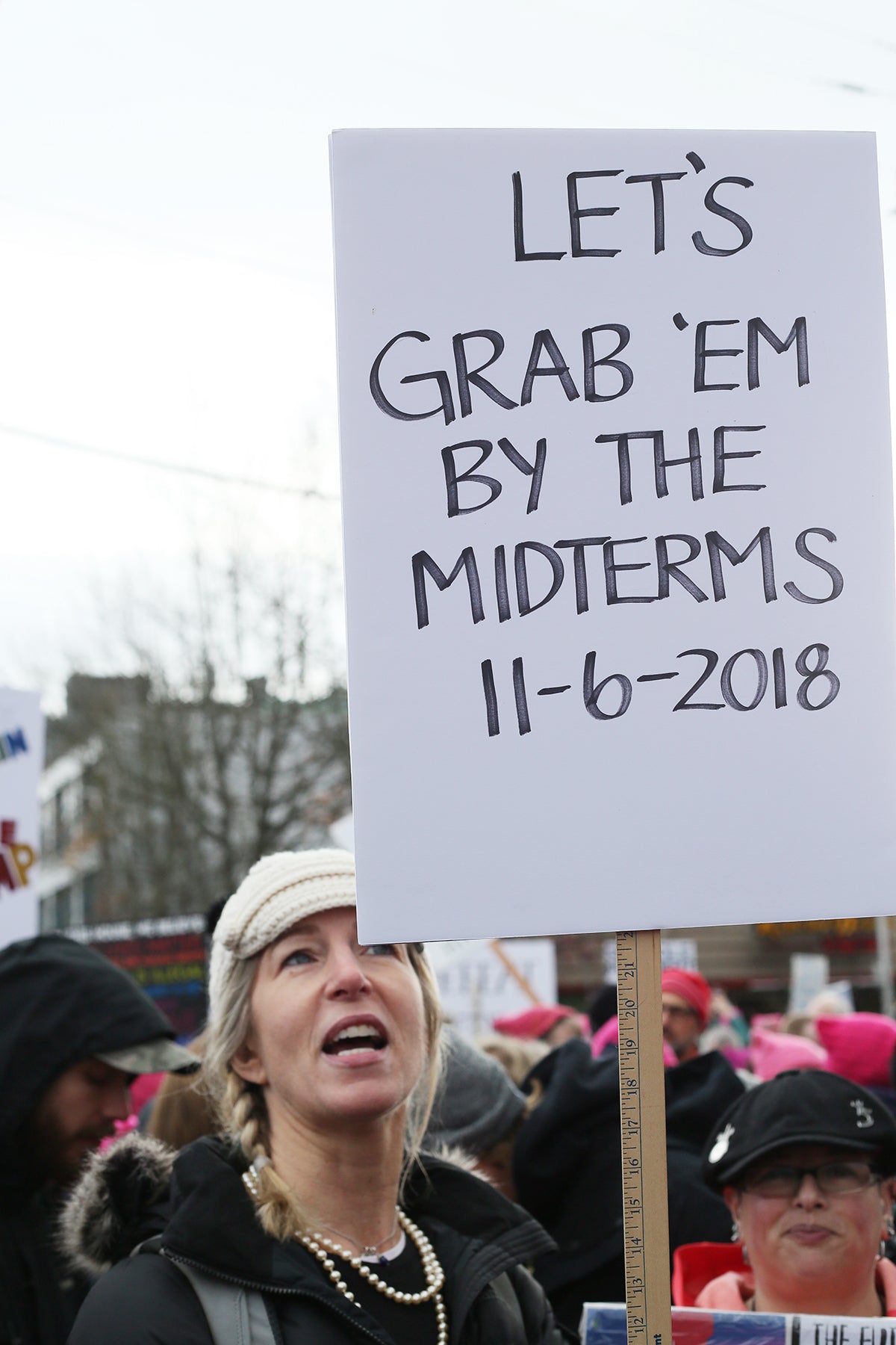 Seattle Women's March 2017  Let's grab 'em by the midterms