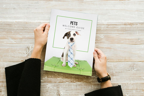 Pet Photography Business Marketing Template