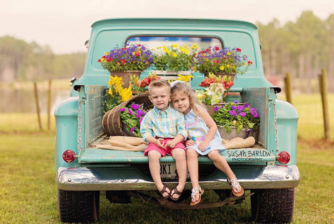 Truck and Flowers Mini Session
