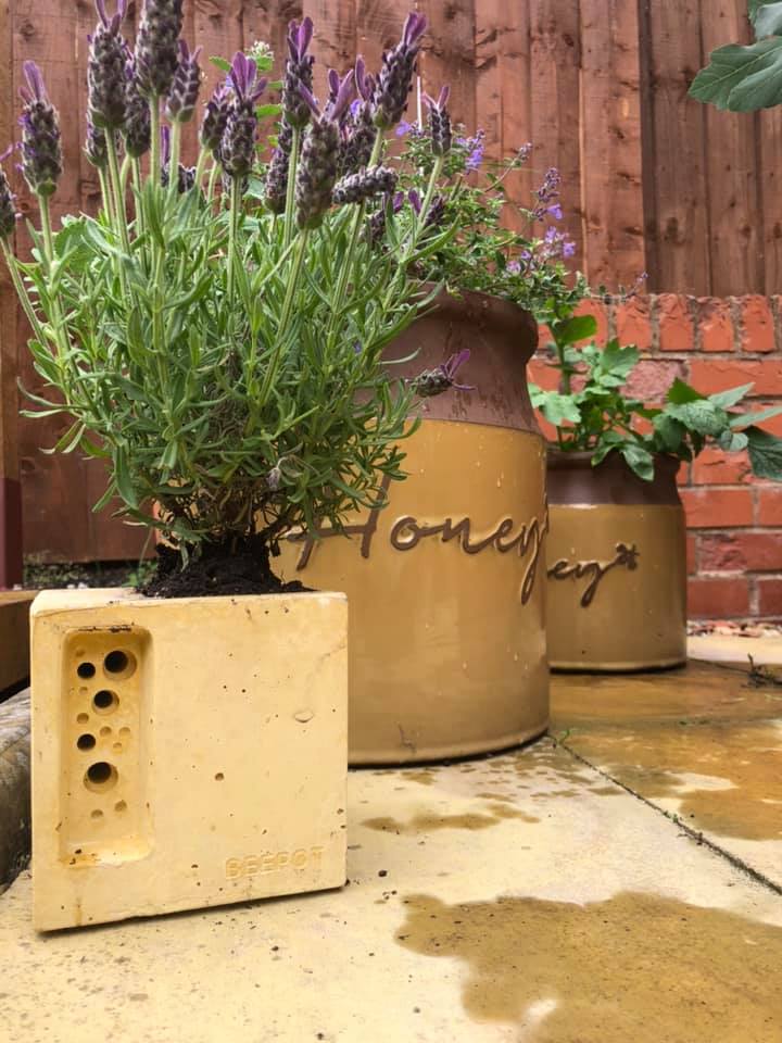 beepot solitary bee house in yellow planted with bee friendly lavender