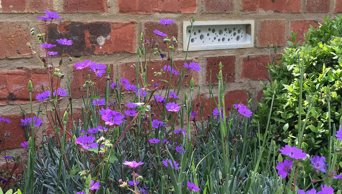 Bee brick in brick wall with bee friendly planting