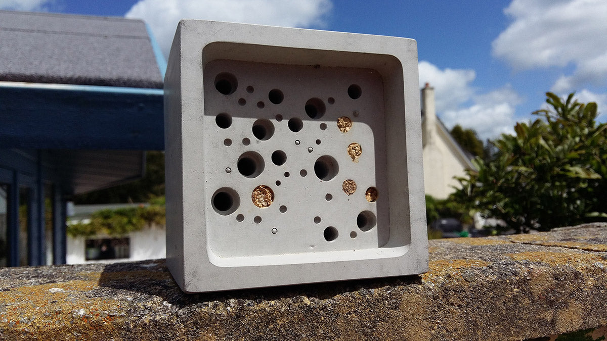 full solitary bee nest in bee brick bee house