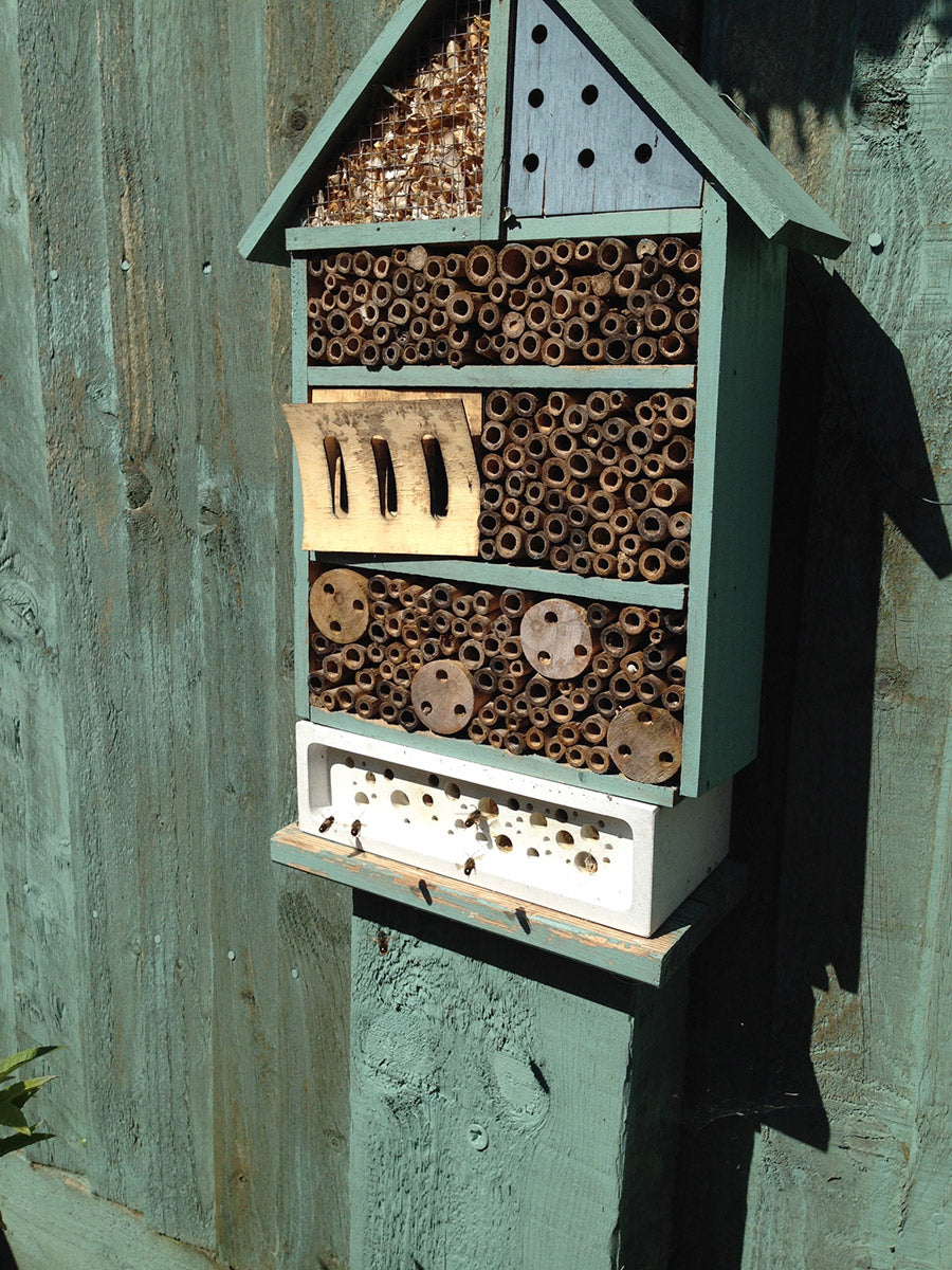 Lynne Reeves bug hotel from make us smile competition