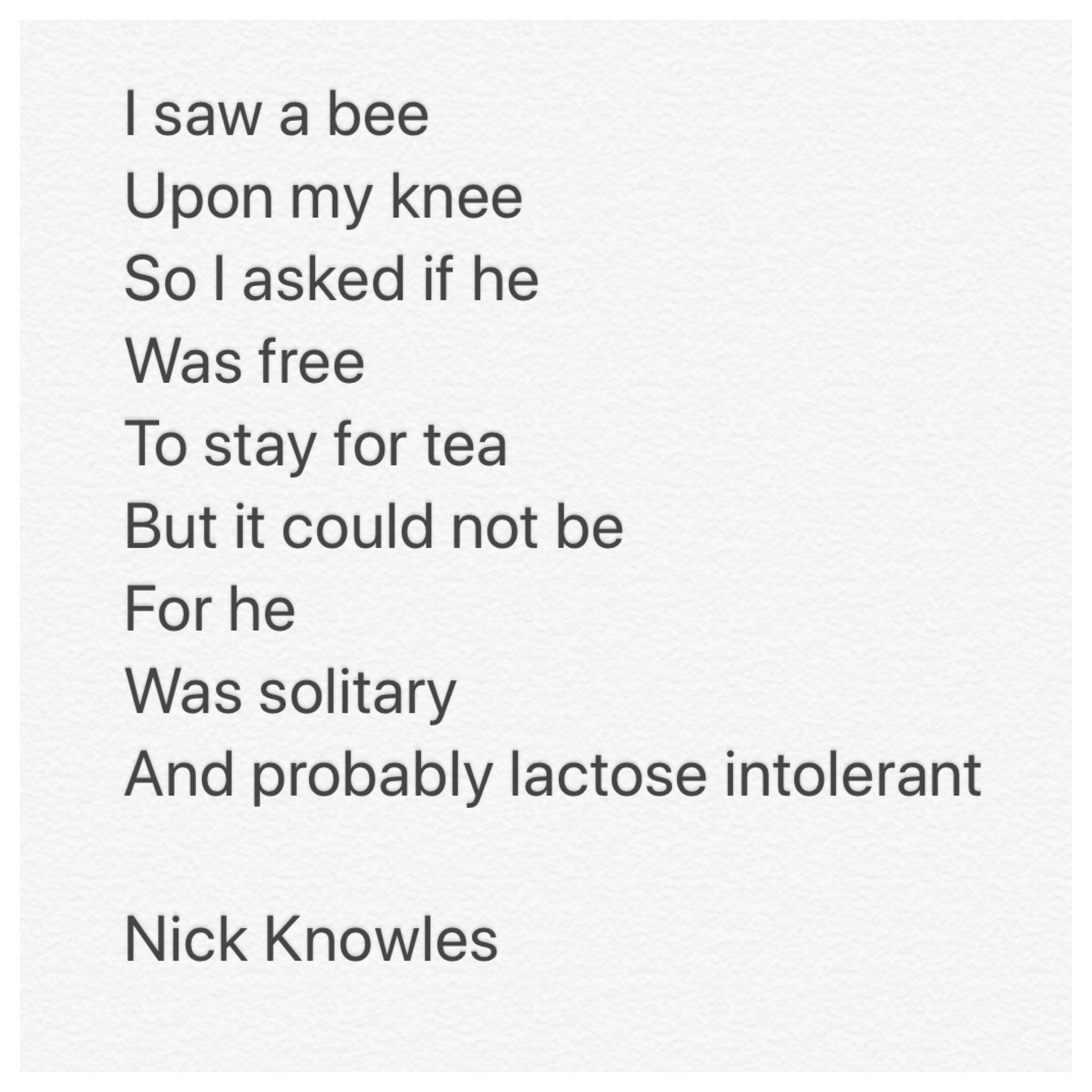 Solitary bee week poem