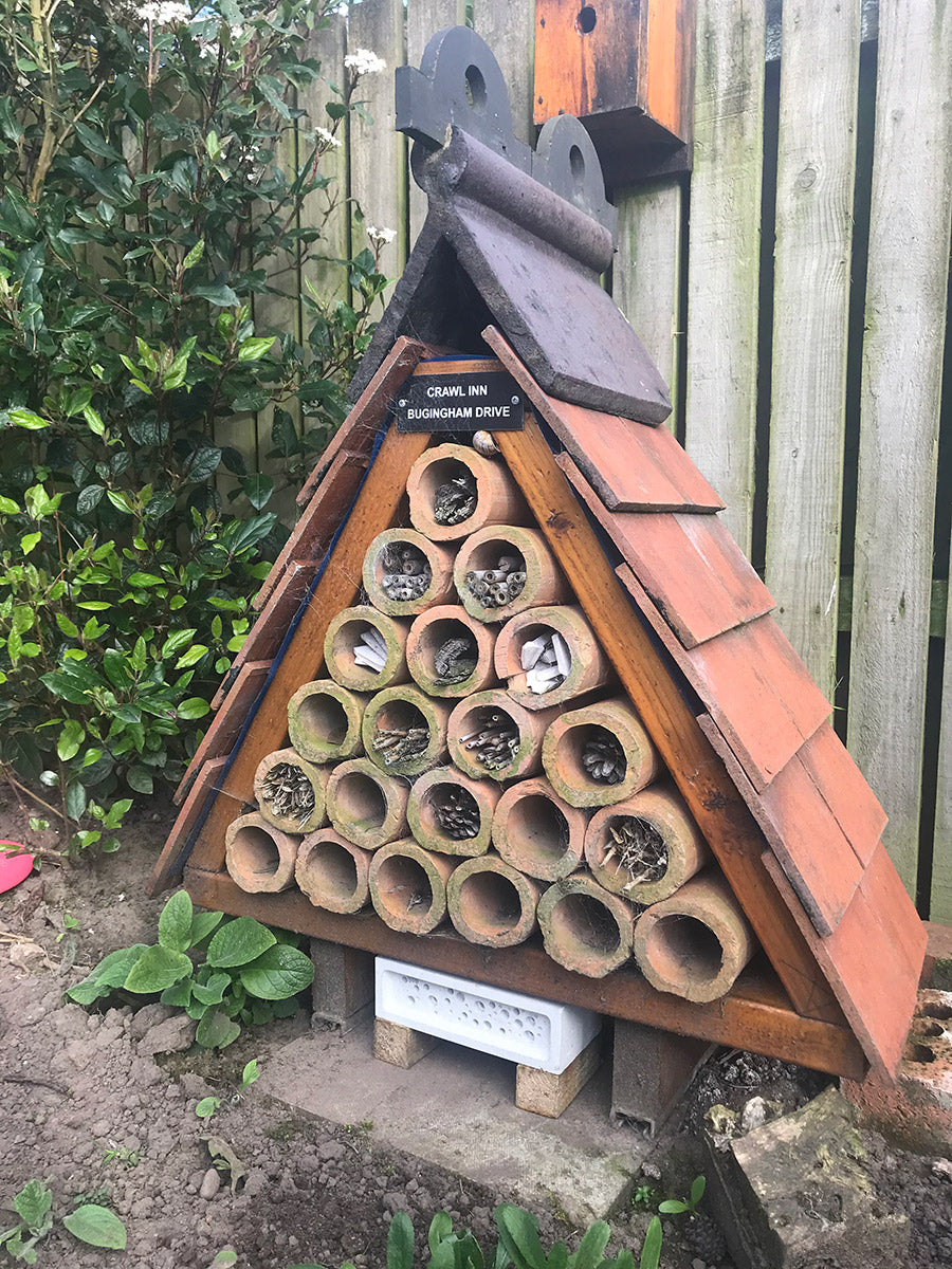 The Crawl inn bug hotel