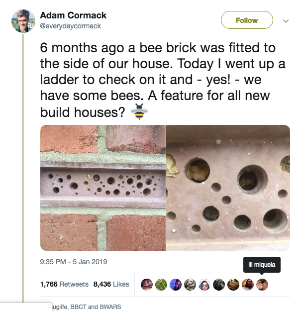 That tweet about bee brick