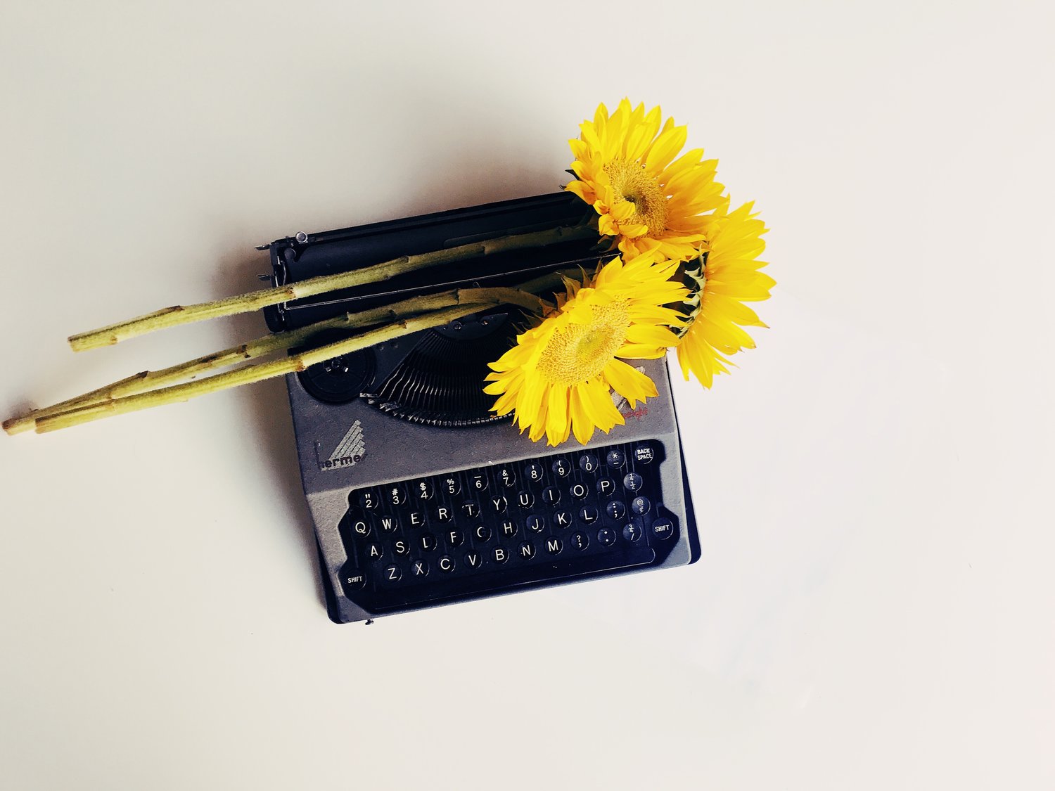 Typewrite and flowers for solitary bee week poetry day