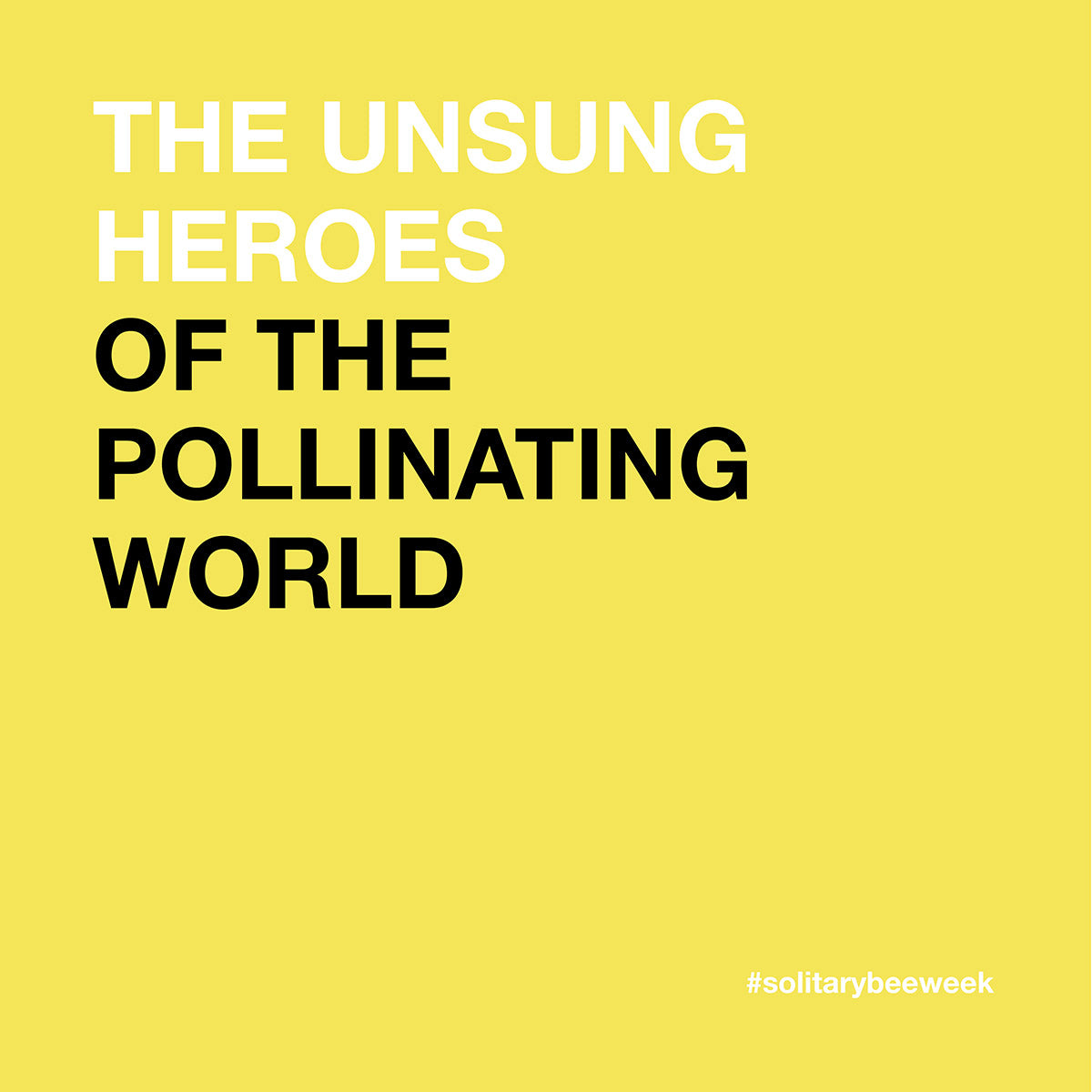 graphic for solitary bee week saying the unsung heroes of the pollinating world