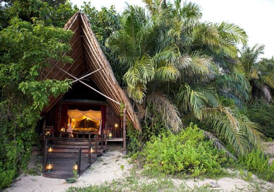 tropical glamping