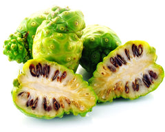 Noni Tree